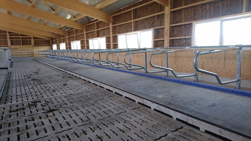 Matelas / tapis / accessoires