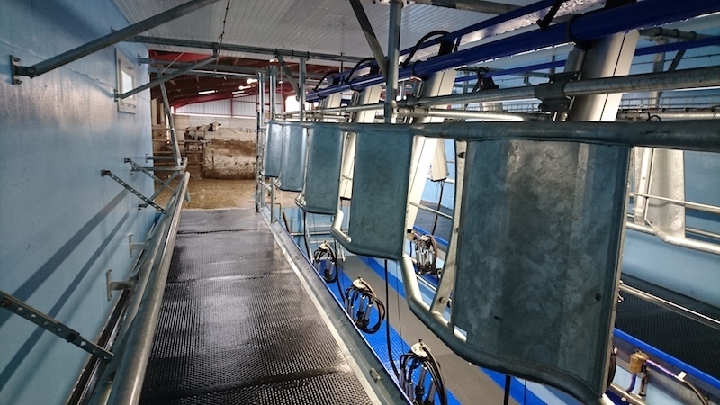 Salle de traite en épi 30° DeLaval