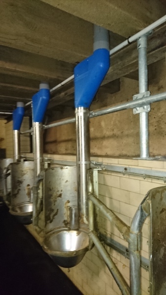 Alimentation en Sdt (DeLaval et Hanskamp Pipefeeder)