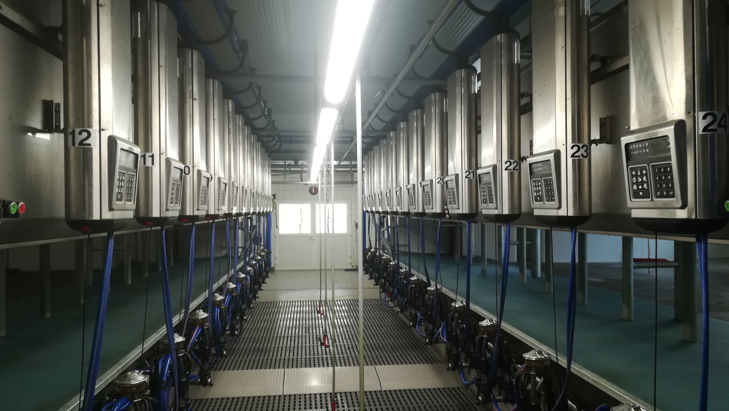 Salle de traite parallèle P2100 DeLaval